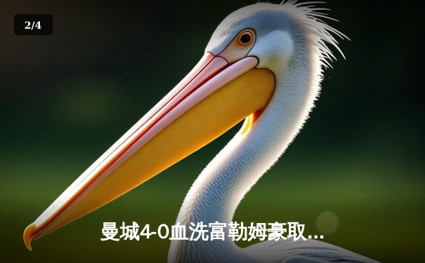 曼城4-0血洗富勒姆豪取八连胜，哈兰德戴帽领跑射手榜 - 2